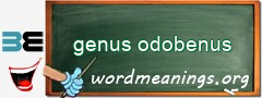 WordMeaning blackboard for genus odobenus